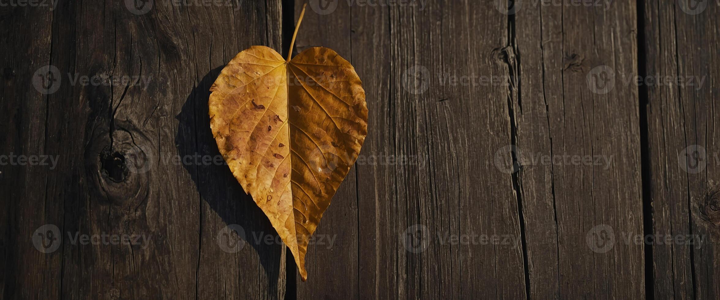 Heart shaped Autumn Leaf on Weathered Wooden Texture. photo