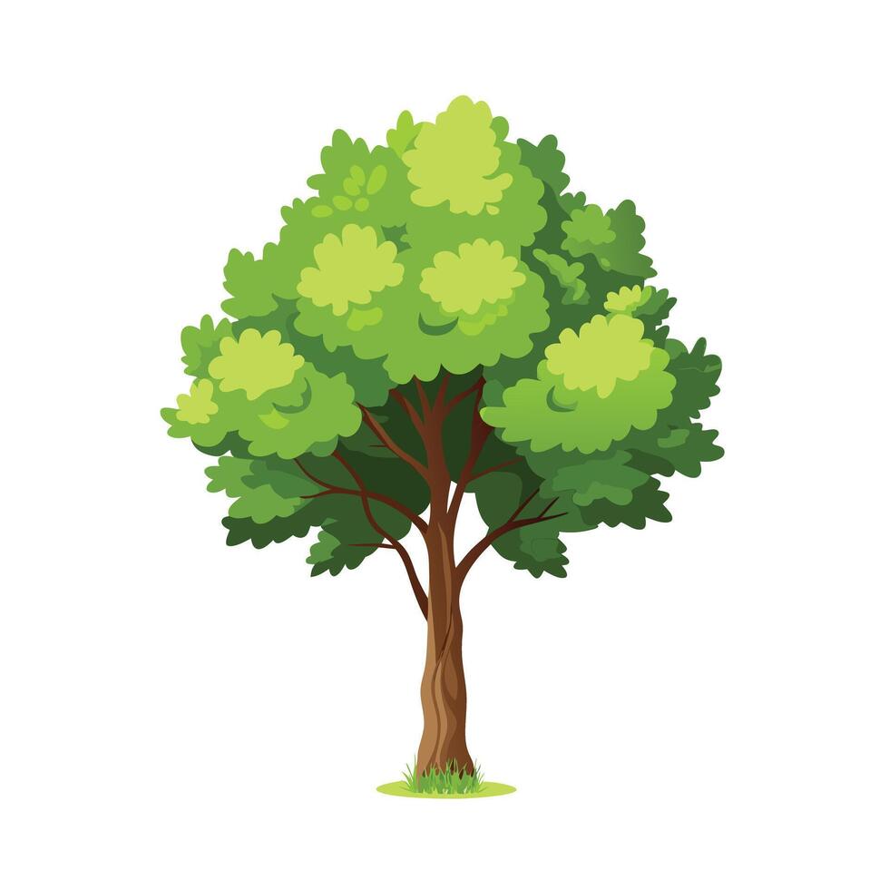 Beautiful Single Big Tree Illustration vector