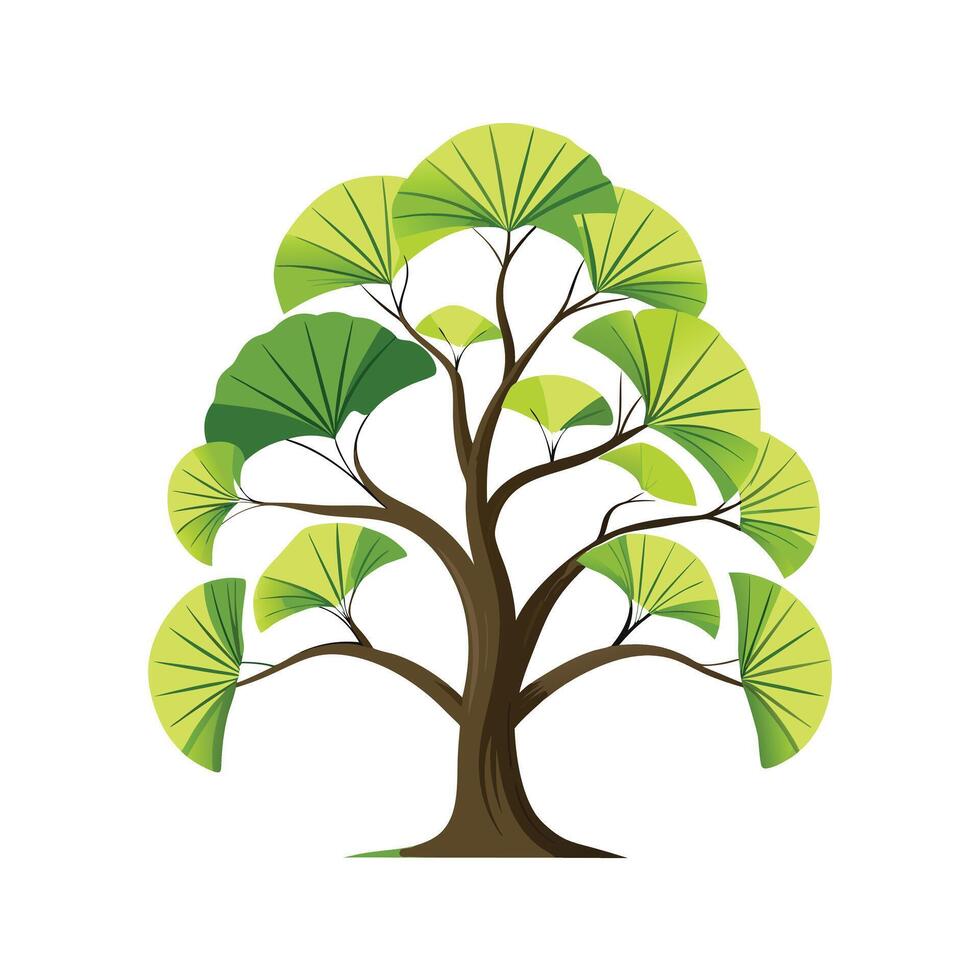 Beautiful Single Big Tree Illustration vector