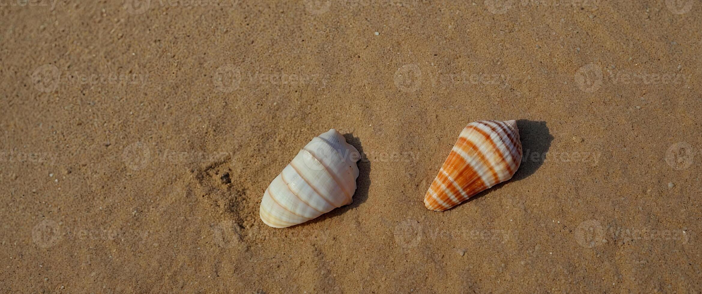 Flat lay composition with seashell on sand colored background Summer, vacation concept top view. photo