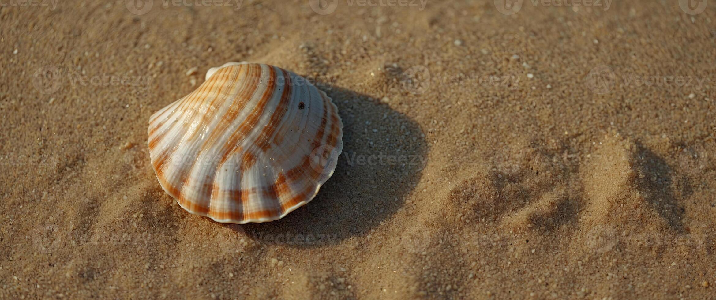 Flat lay composition with seashell on sand colored background Summer, vacation concept top view. photo