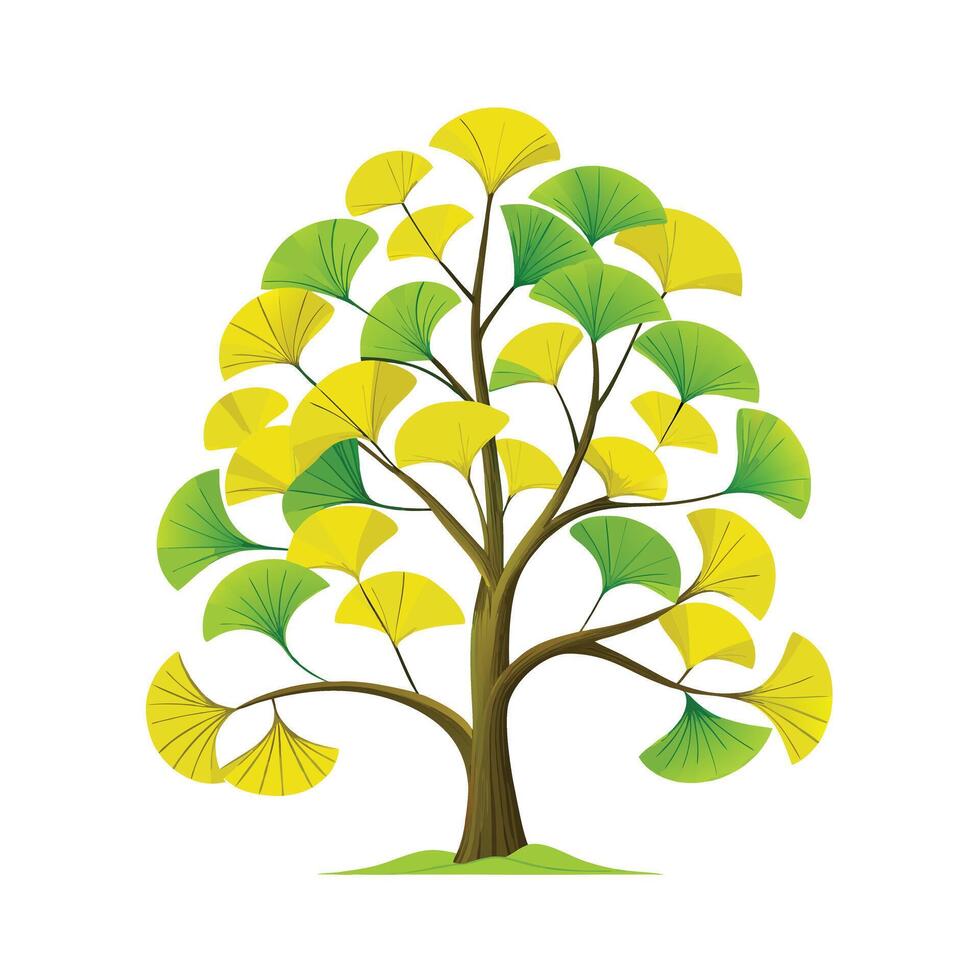 Beautiful Single Big Tree Illustration vector