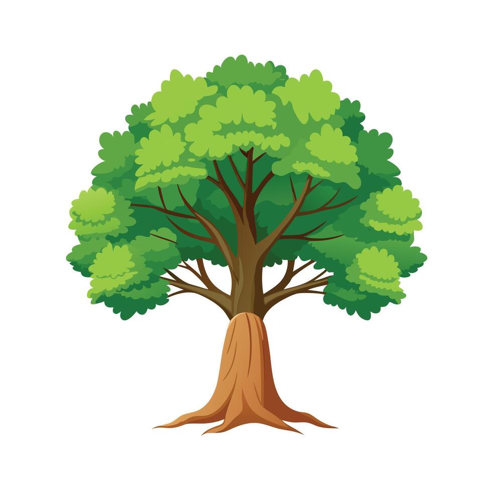 Beautiful Single Big Tree Illustration vector