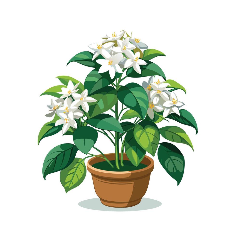 Beautiful Flowerpot Houseplant Illustration vector