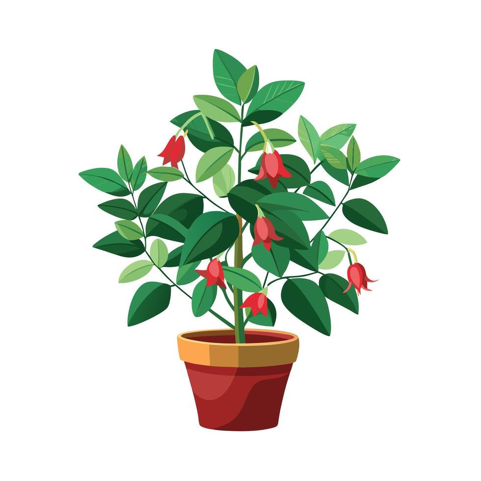 Beautiful Flowerpot Houseplant Illustration vector