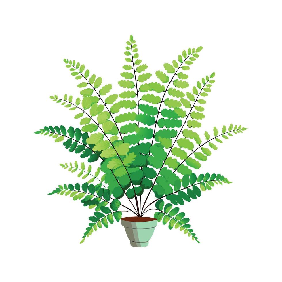 Beautiful Flowerpot Houseplant Illustration vector