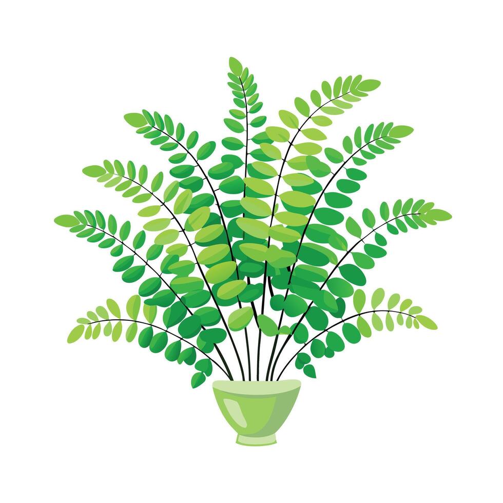 Beautiful Flowerpot Houseplant Illustration vector