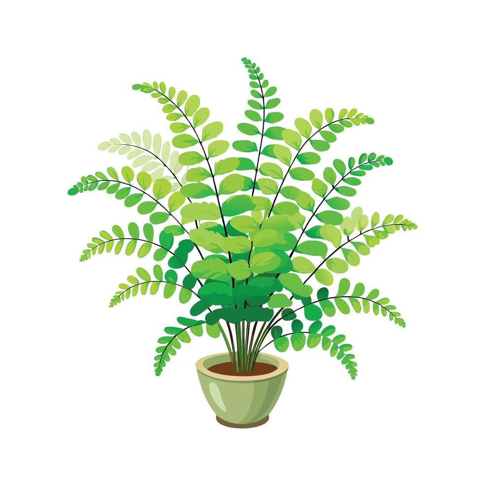 Beautiful Flowerpot Houseplant Illustration vector