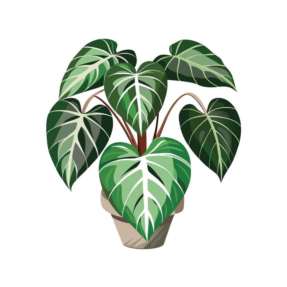 Beautiful Flowerpot Houseplant Illustration vector