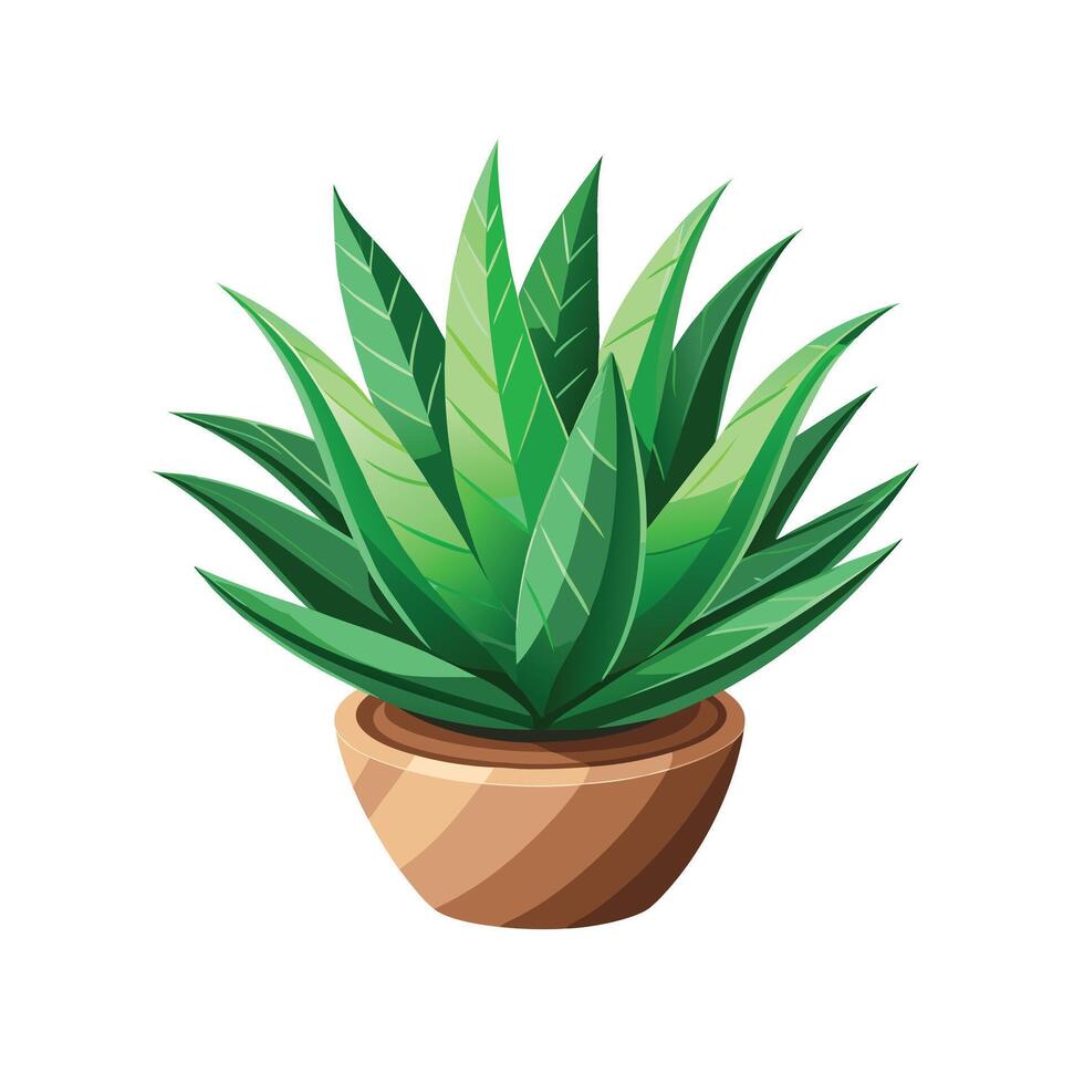 Beautiful Flowerpot Houseplant Illustration vector