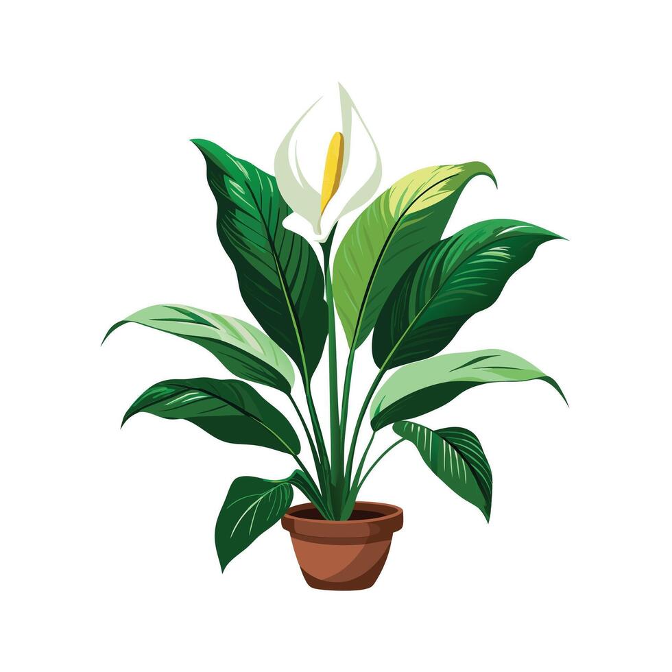 Beautiful Flowerpot Houseplant Illustration vector