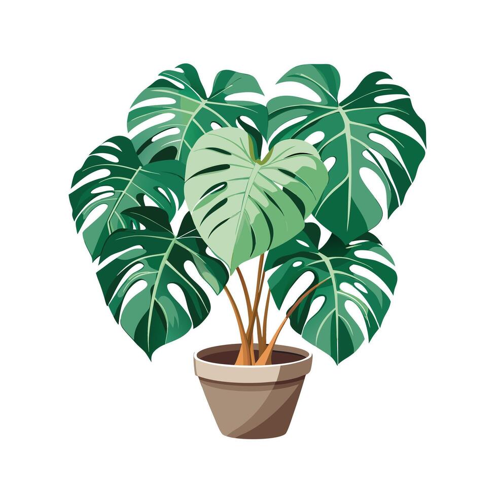Beautiful Flowerpot Houseplant Illustration vector