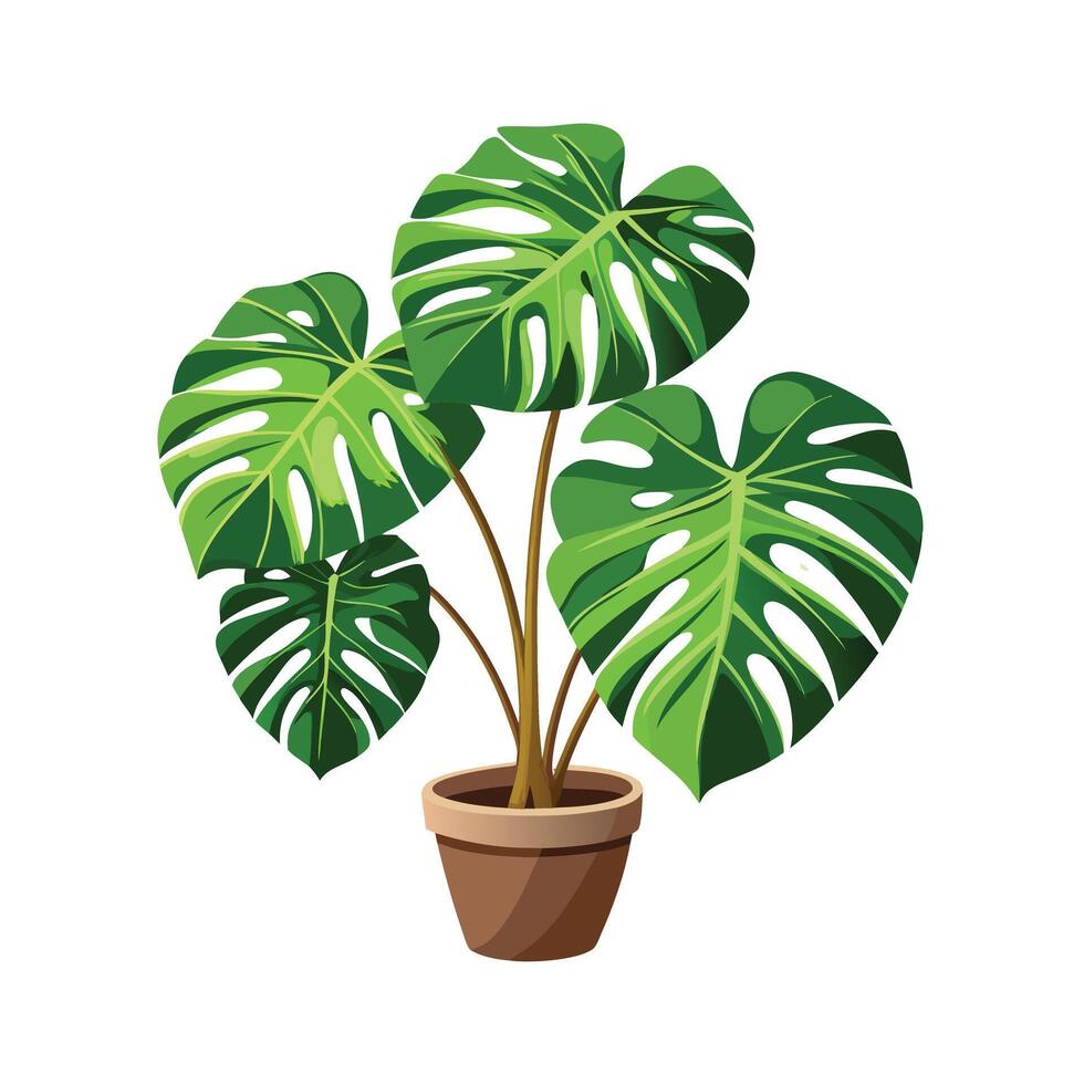 Beautiful Flowerpot Houseplant Illustration vector