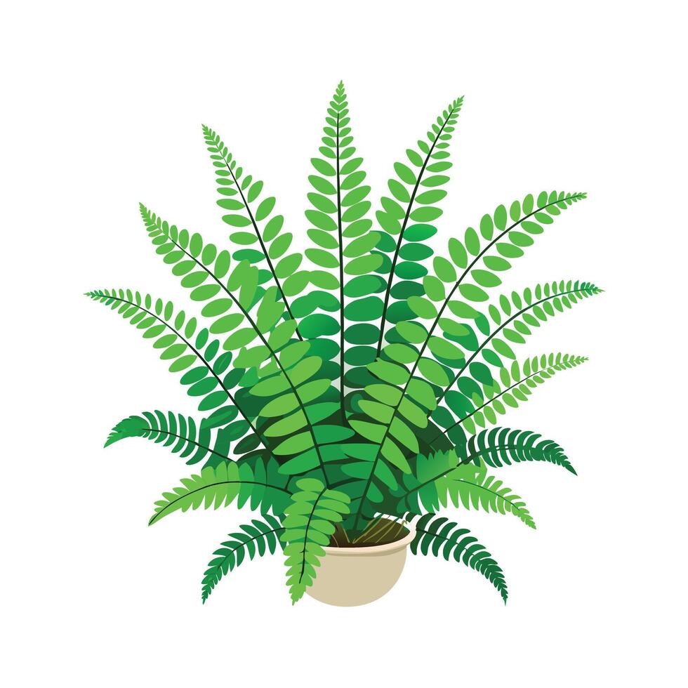 Beautiful Flowerpot Houseplant Illustration vector