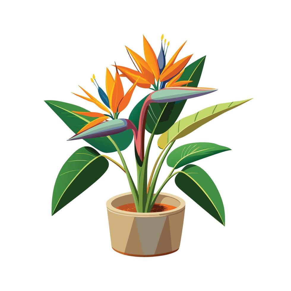 Beautiful Flowerpot Houseplant Illustration vector