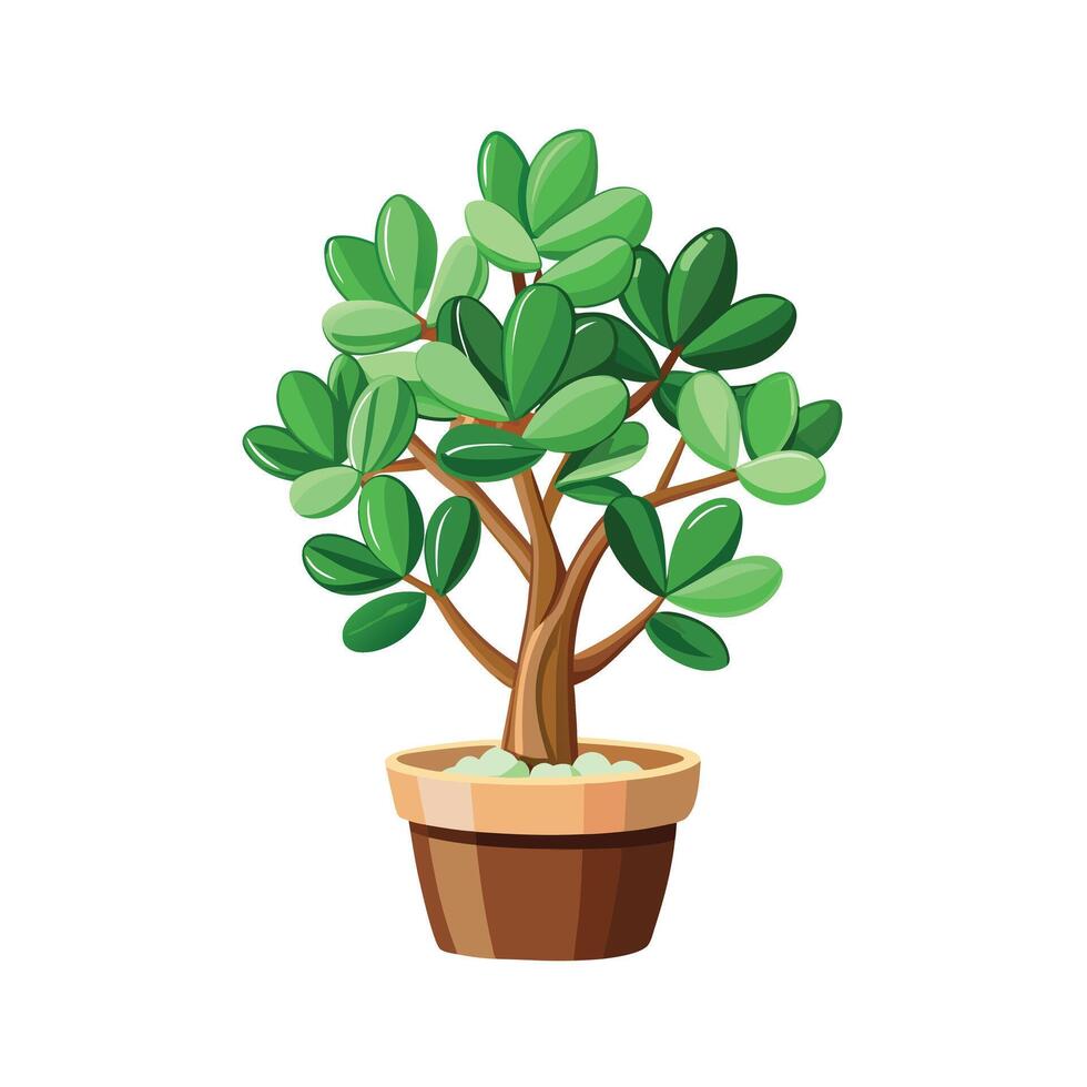 Beautiful Flowerpot Houseplant Illustration vector