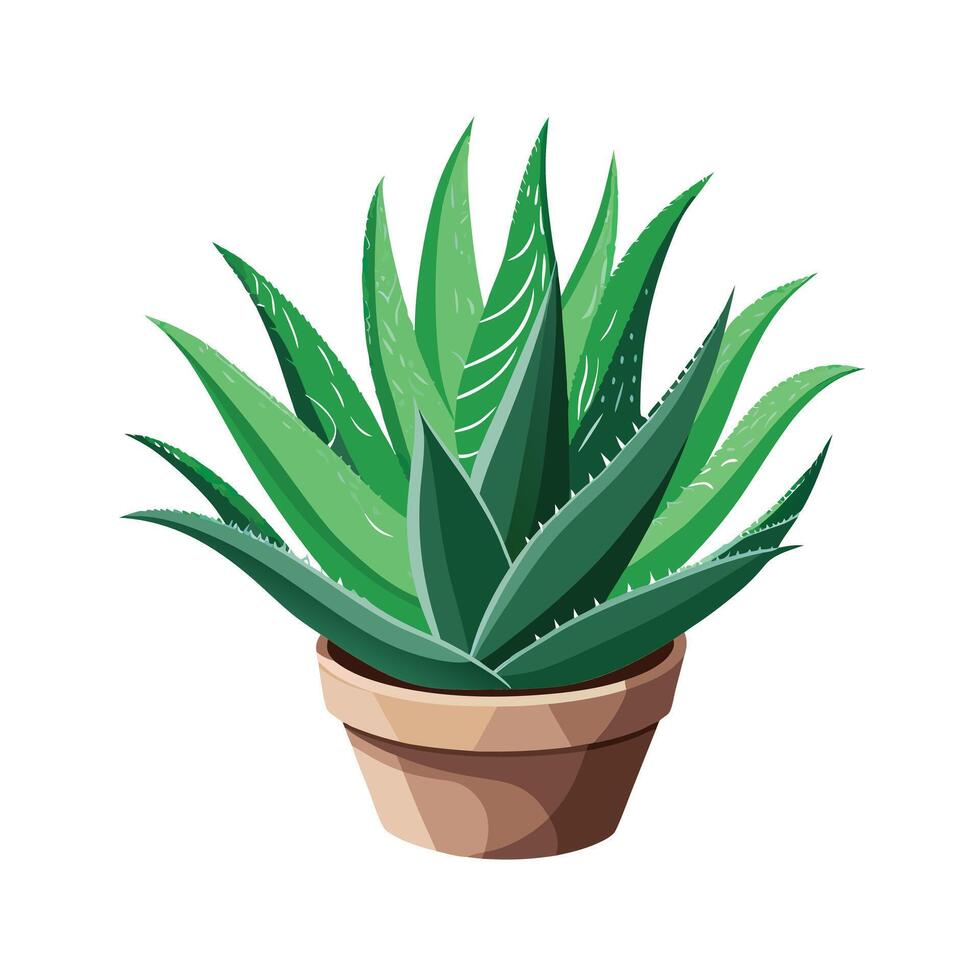 Beautiful Flowerpot Houseplant Illustration vector