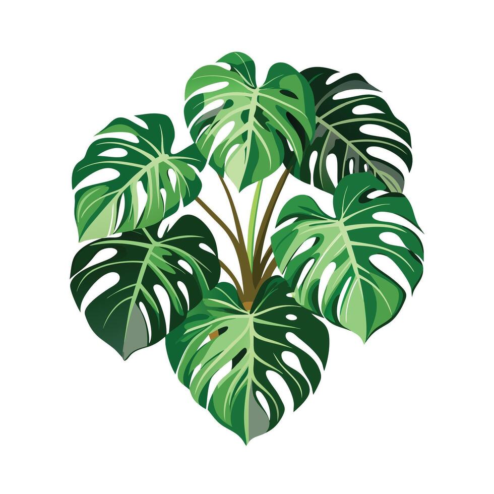 Beautiful Flowerpot Houseplant Illustration vector