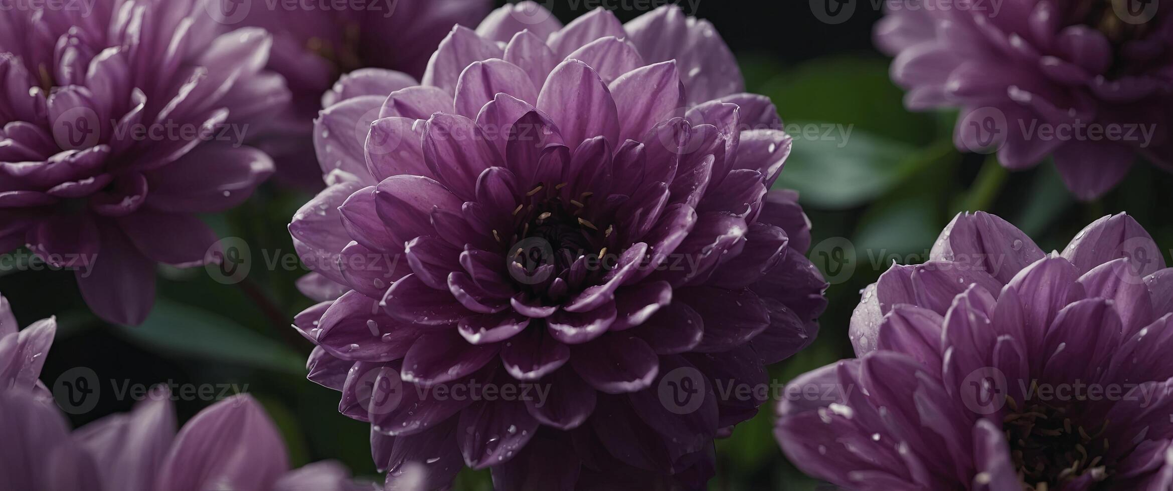 Abstract Close Up of Purple Petals Showcasing Natural Beauty and Elegance. photo