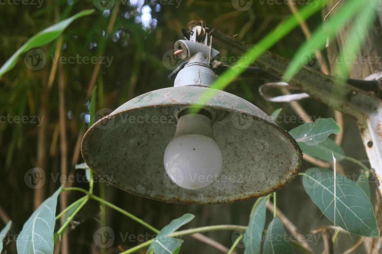 Classic and simple garden lights are in the cafe garden photo