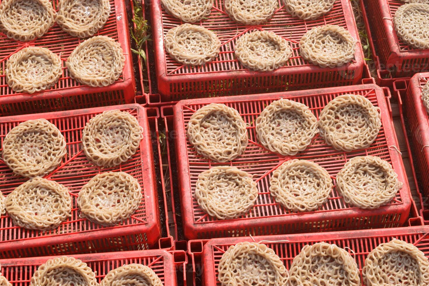 Raw crackers called Kerupuk are in the process of drying around the rice fields photo