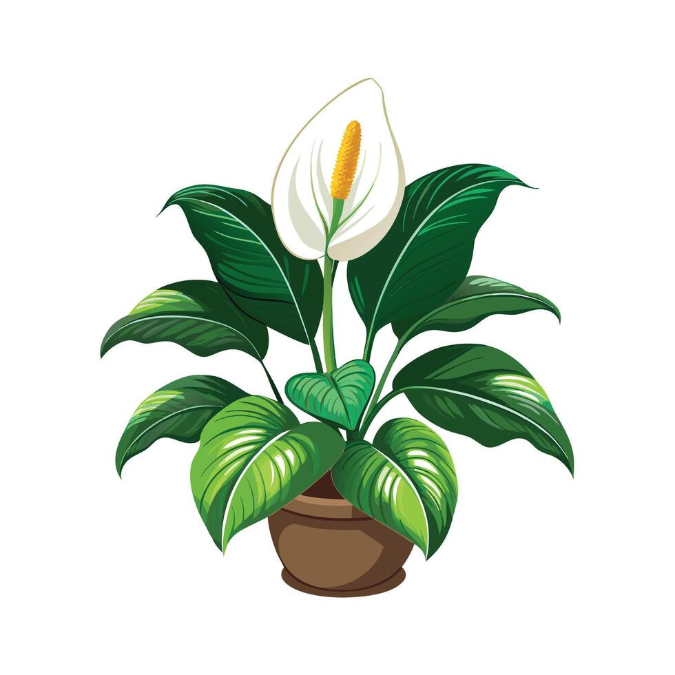 Beautiful Flowerpot Houseplant Illustration vector