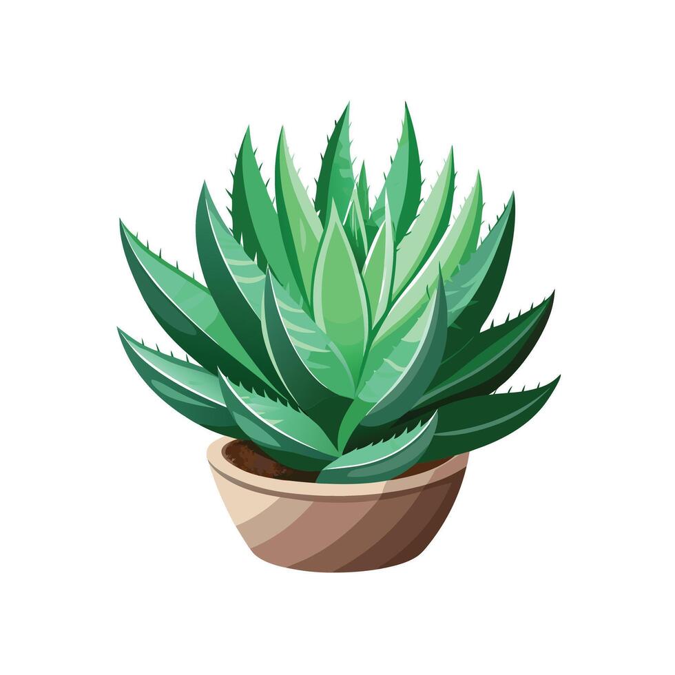 Beautiful Flowerpot Houseplant Illustration vector