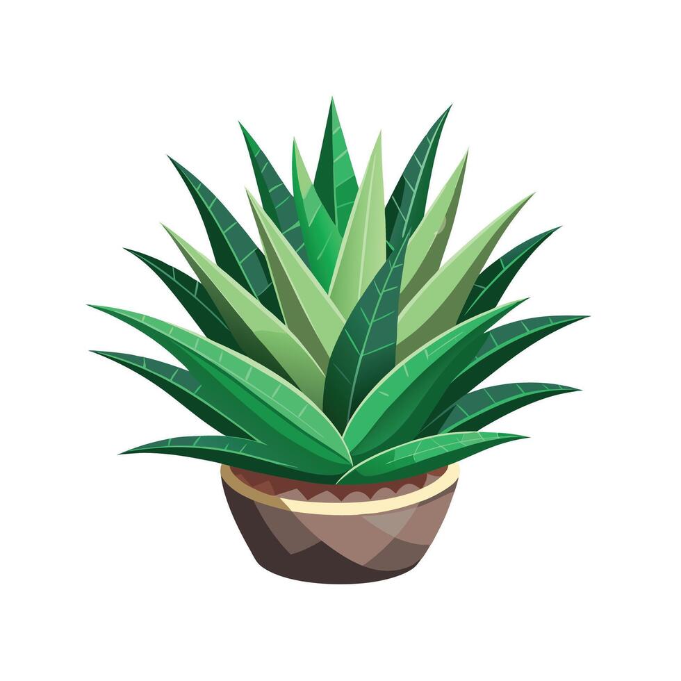 Beautiful Flowerpot Houseplant Illustration vector