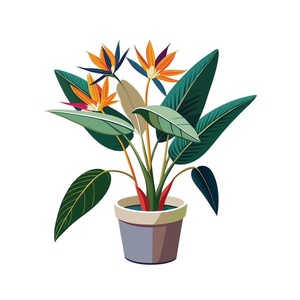 Beautiful Flowerpot Houseplant Illustration vector