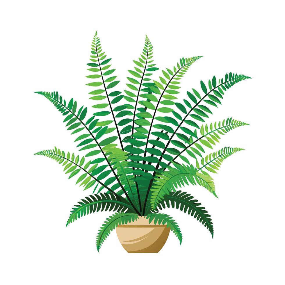 Beautiful Flowerpot Houseplant Illustration vector