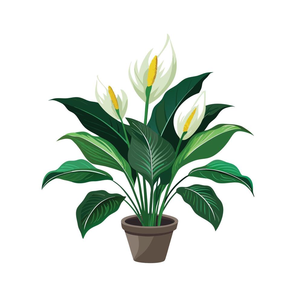 Beautiful Flowerpot Houseplant Illustration vector