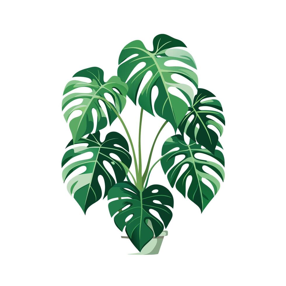Beautiful Flowerpot Houseplant Illustration vector