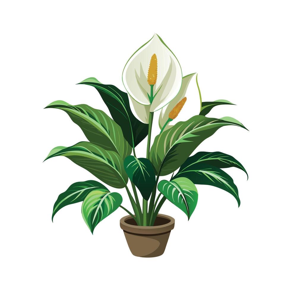 Beautiful Flowerpot Houseplant Illustration vector