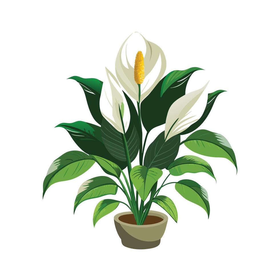 Beautiful Flowerpot Houseplant Illustration vector