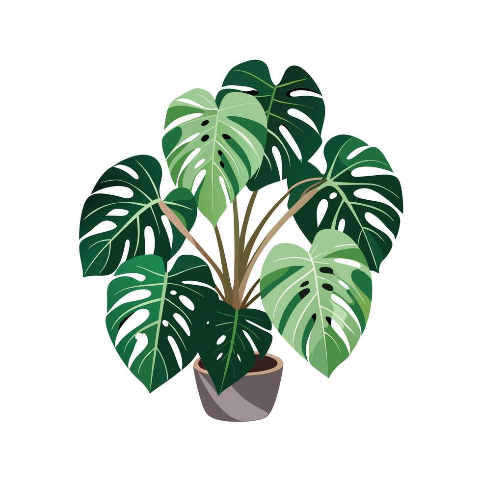 Beautiful Flowerpot Houseplant Illustration vector