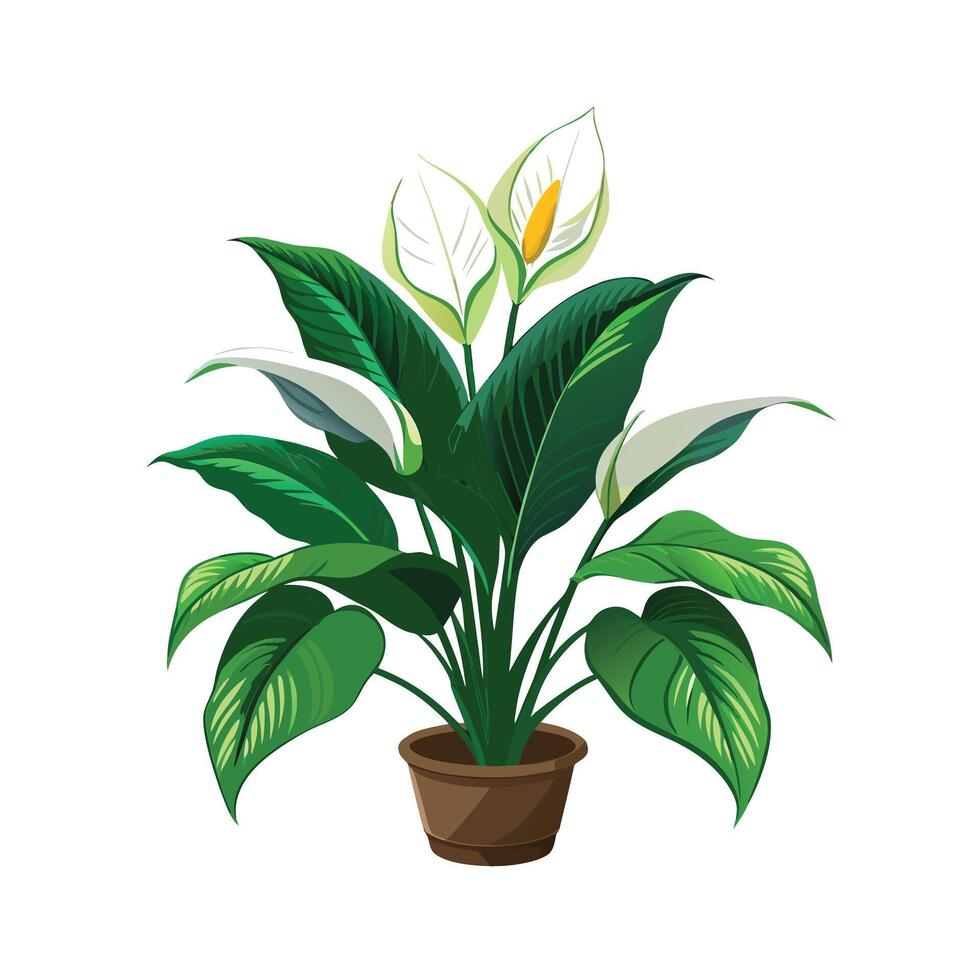 Beautiful Flowerpot Houseplant Illustration vector