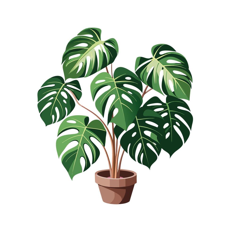 Beautiful Flowerpot Houseplant Illustration vector