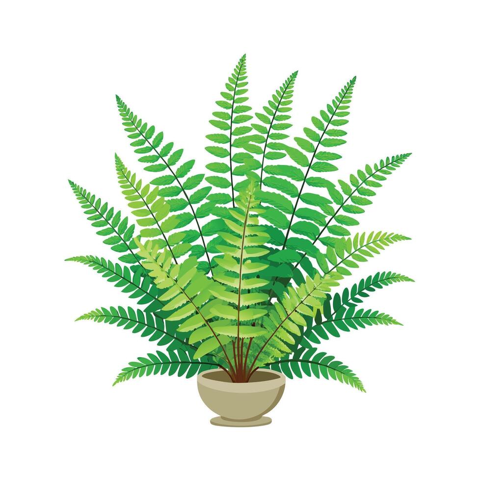Beautiful Flowerpot Houseplant Illustration vector