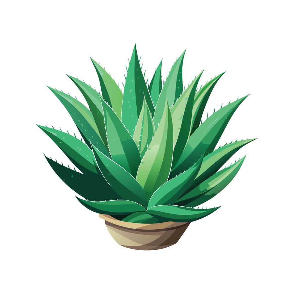 Beautiful Flowerpot Houseplant Illustration vector