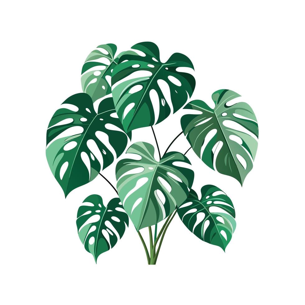 Beautiful Flowerpot Houseplant Illustration vector