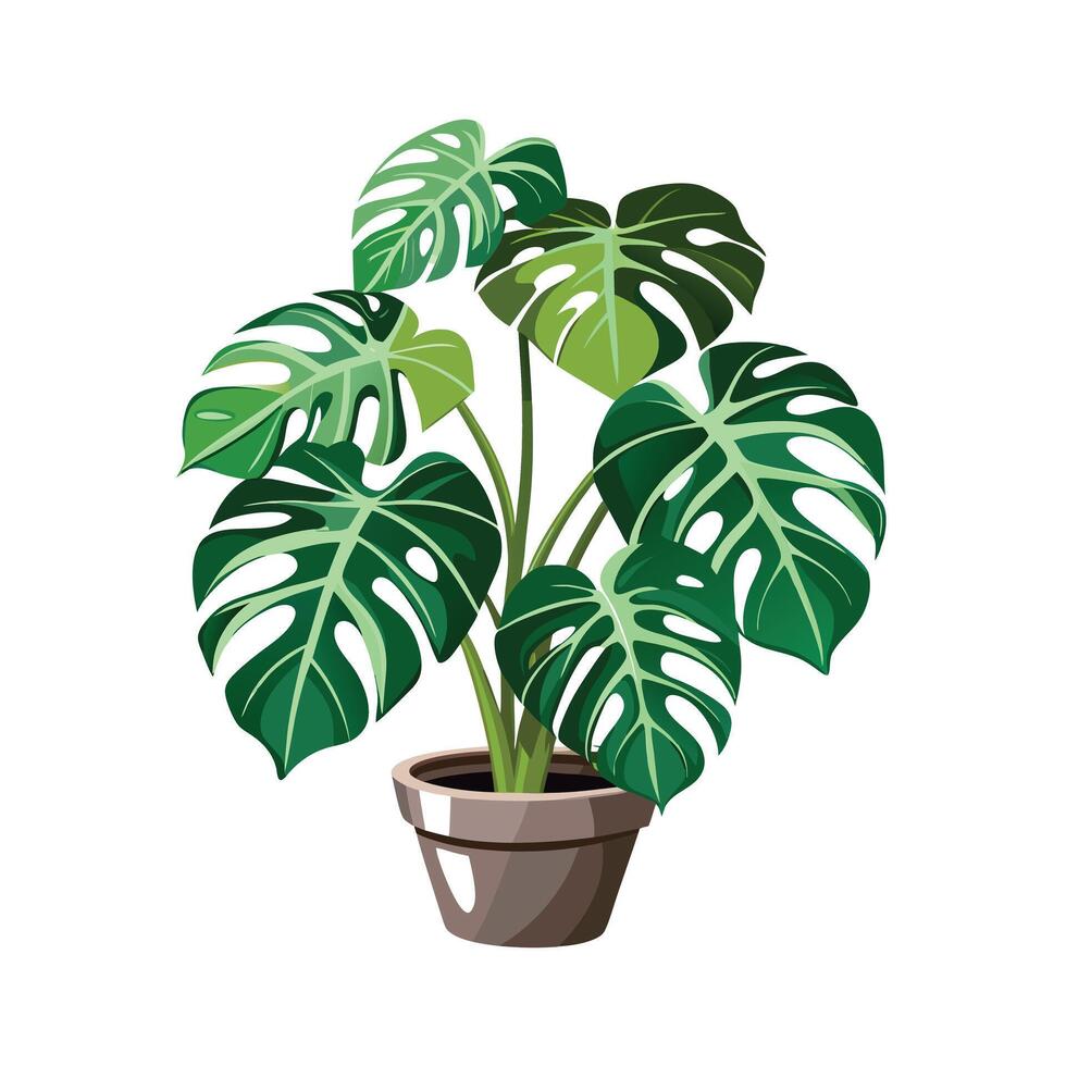 Beautiful Flowerpot Houseplant Illustration vector