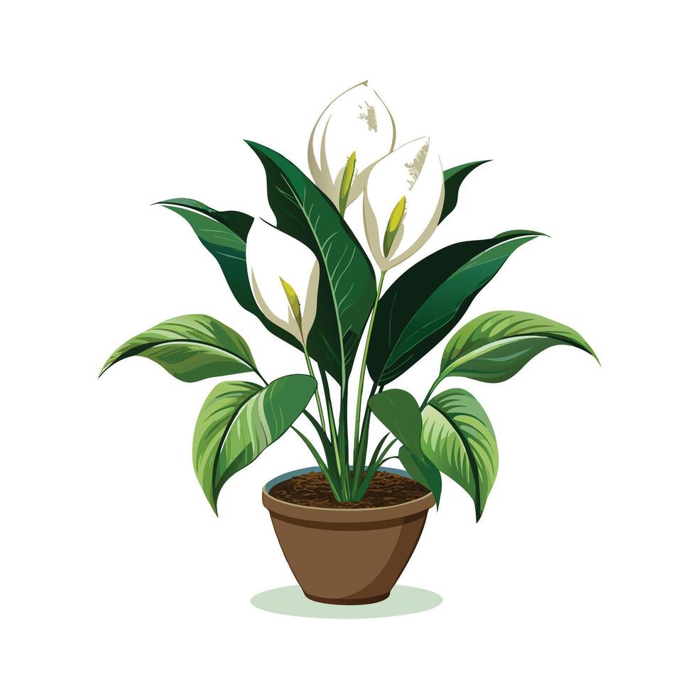 Beautiful Flowerpot Houseplant Illustration vector