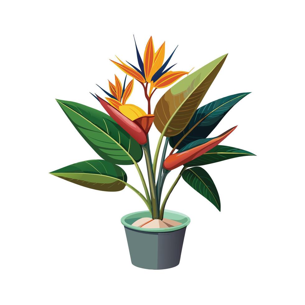 Beautiful Flowerpot Houseplant Illustration vector