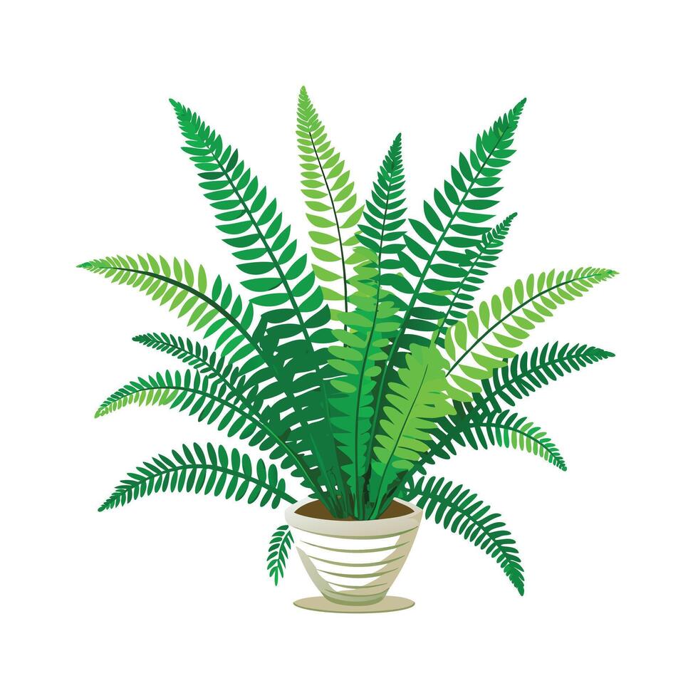 Beautiful Flowerpot Houseplant Illustration vector