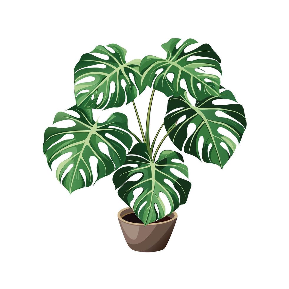 Beautiful Flowerpot Houseplant Illustration vector