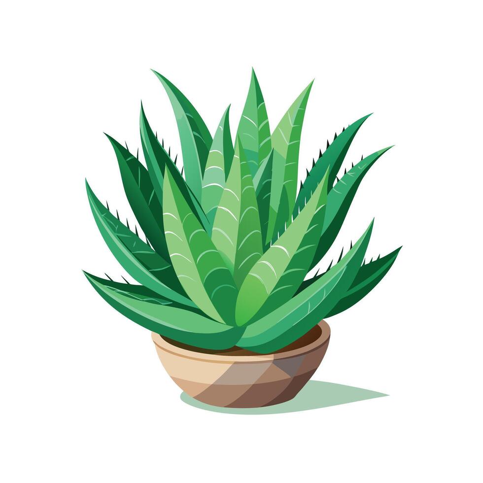 Beautiful Flowerpot Houseplant Illustration vector