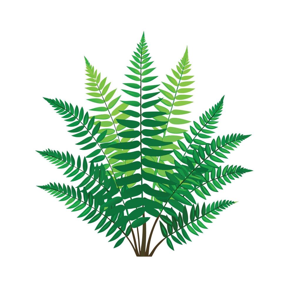 Beautiful Flowerpot Houseplant Illustration vector