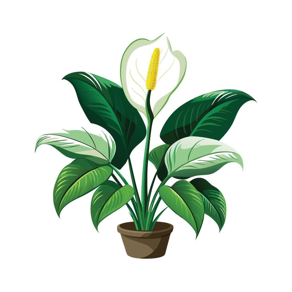 Beautiful Flowerpot Houseplant Illustration vector