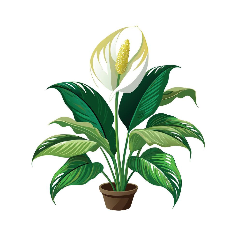 Beautiful Flowerpot Houseplant Illustration vector