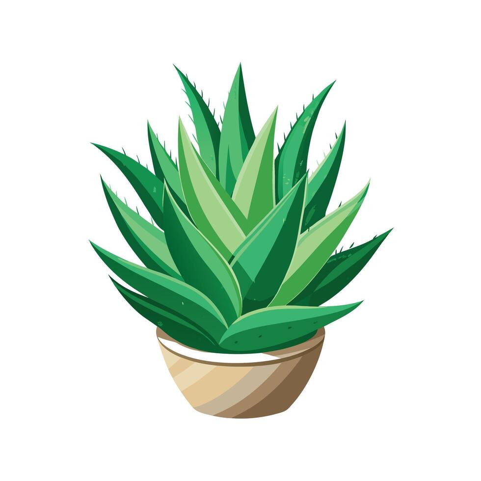 Beautiful Flowerpot Houseplant Illustration vector